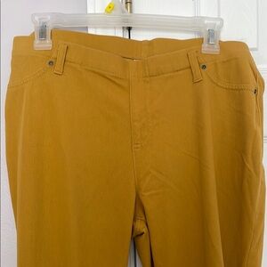 Time and Tru Women's Mustard Chinos
